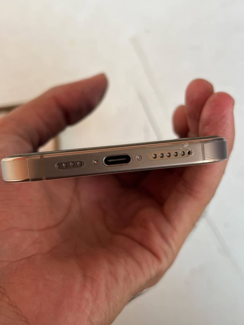 Apple iPhone 16 Pro Max 1