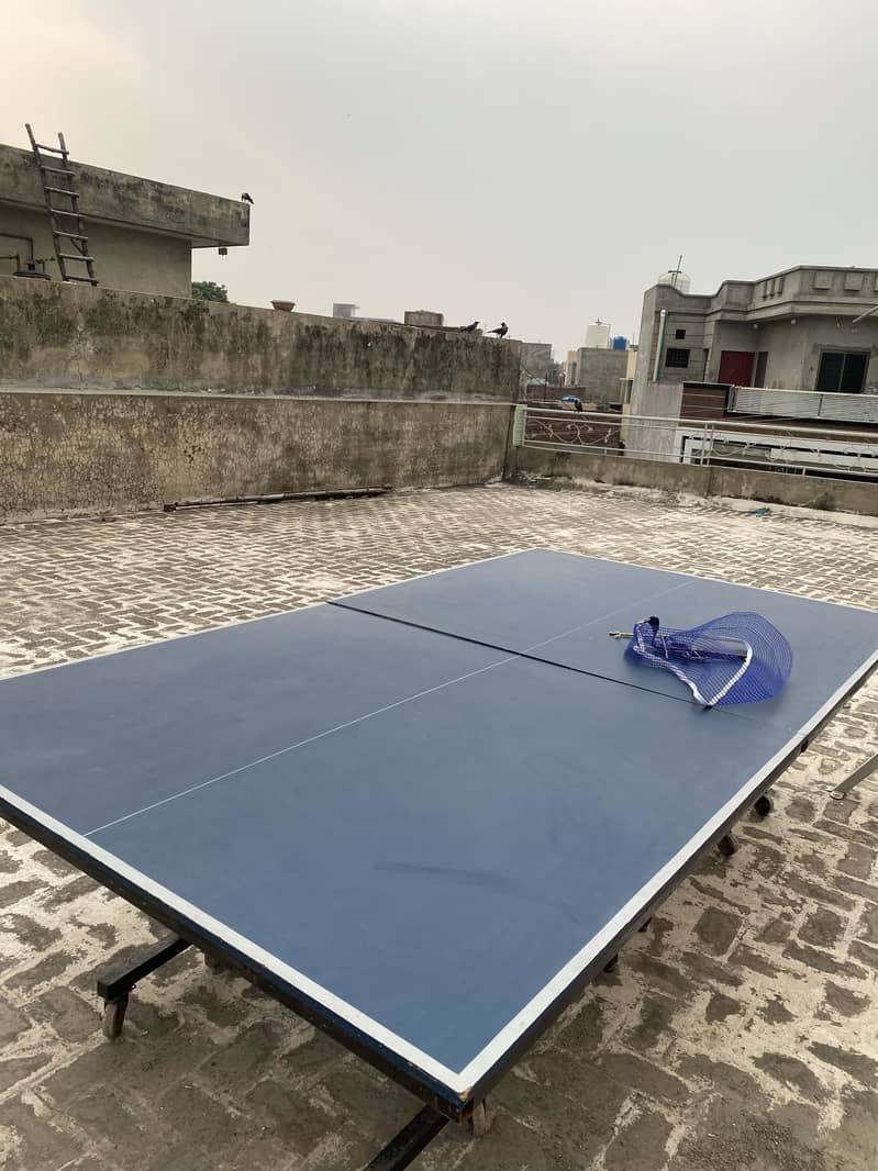 Table Tennis Table 2