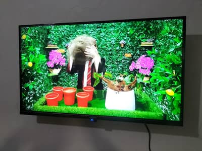 LED TV