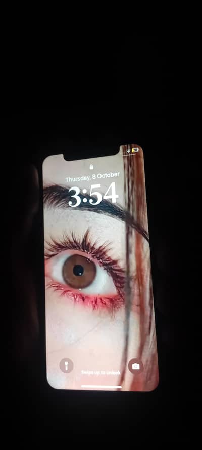 Apple iPhone X