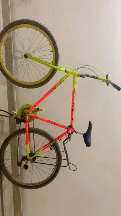 phoenix cycle for sale achi condition hai wash wagra kr ky bilkul new