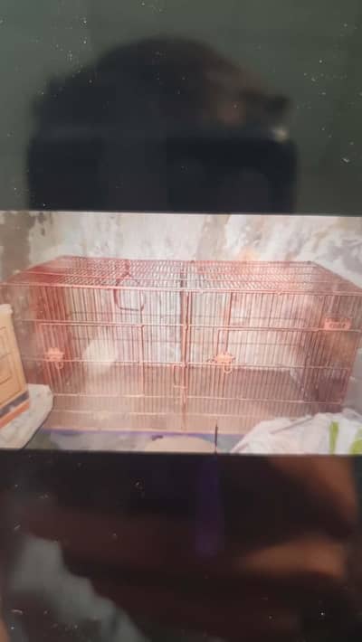 2 portion cage bilkul okkk ha