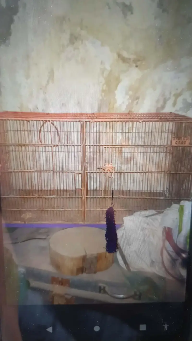 2 portion cage bilkul okkk ha — photo 2