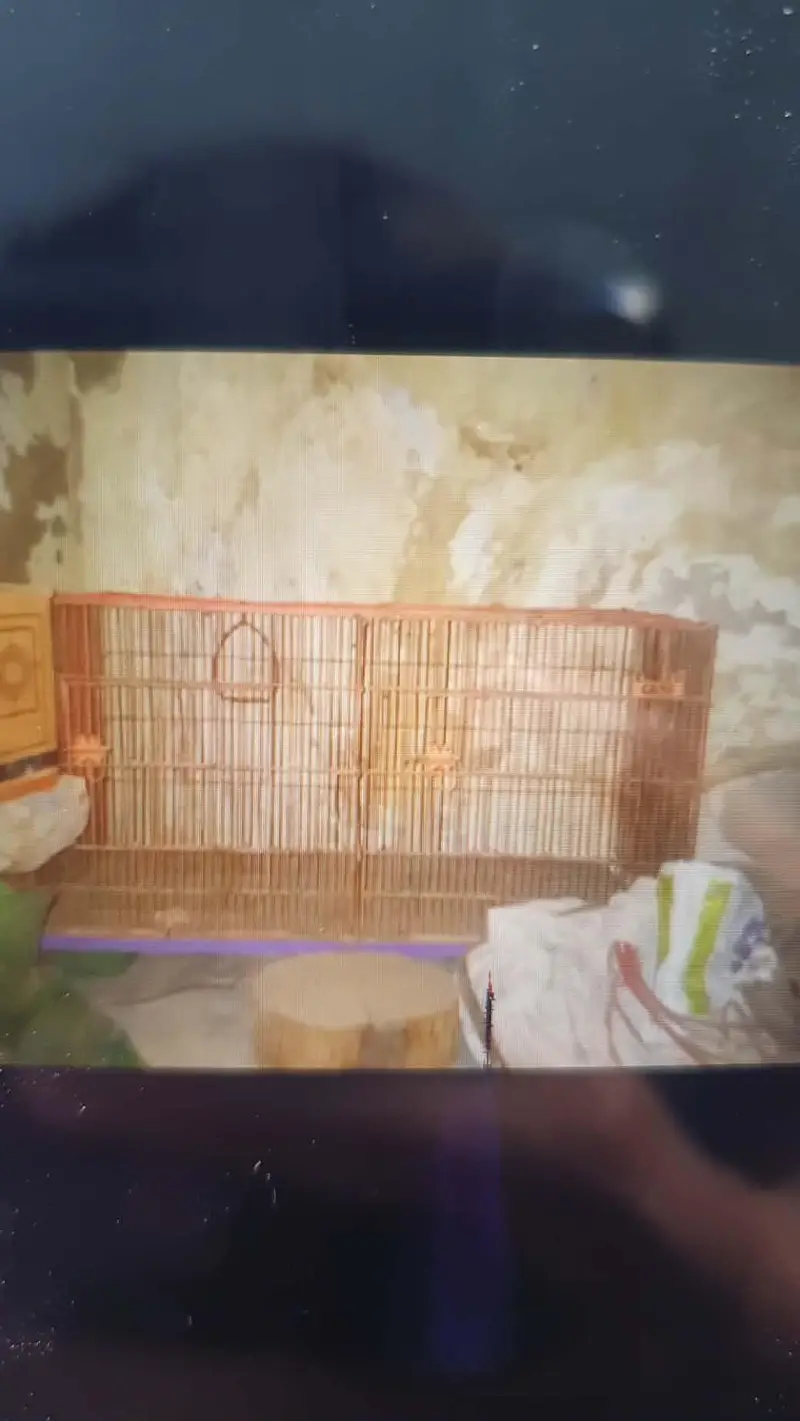 2 portion cage bilkul okkk ha — photo 3
