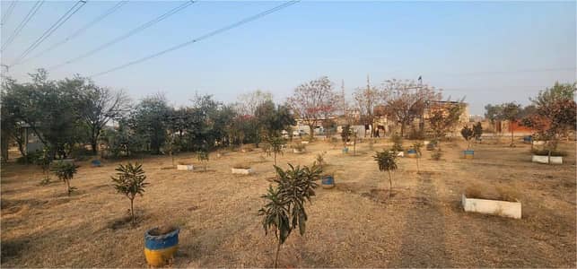 7 kanal Plot with Building on Main Express Way Interchange Big Front On Rent