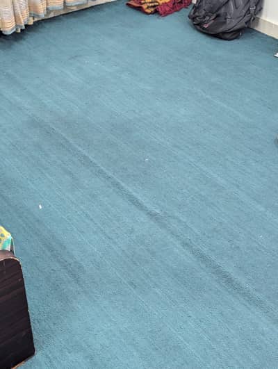Sea green/ zinc coloured carpet for the whole house