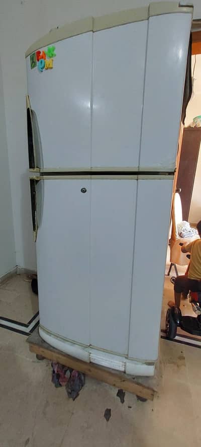 Pel 12 cubic fridge