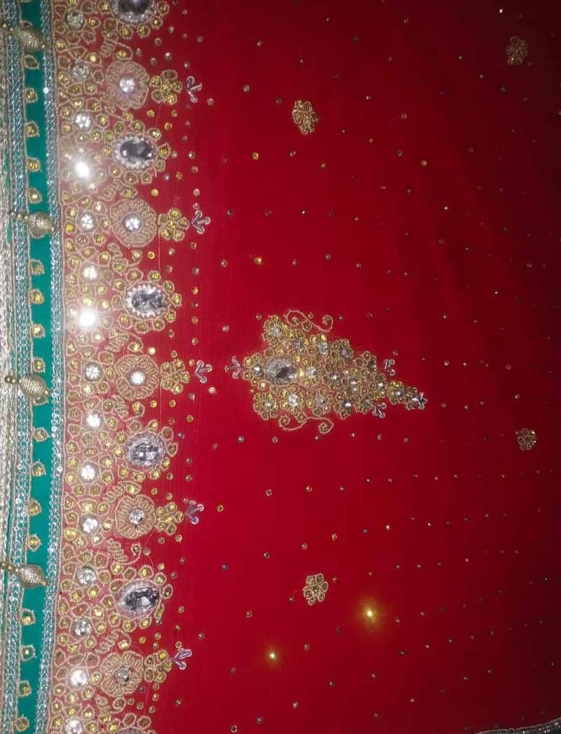 Red Maxy 6