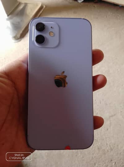 Apple iPhone 12
