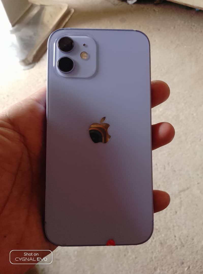 Apple iPhone 12 0