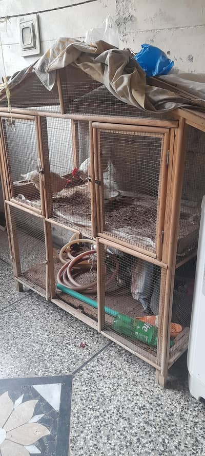 hens cage