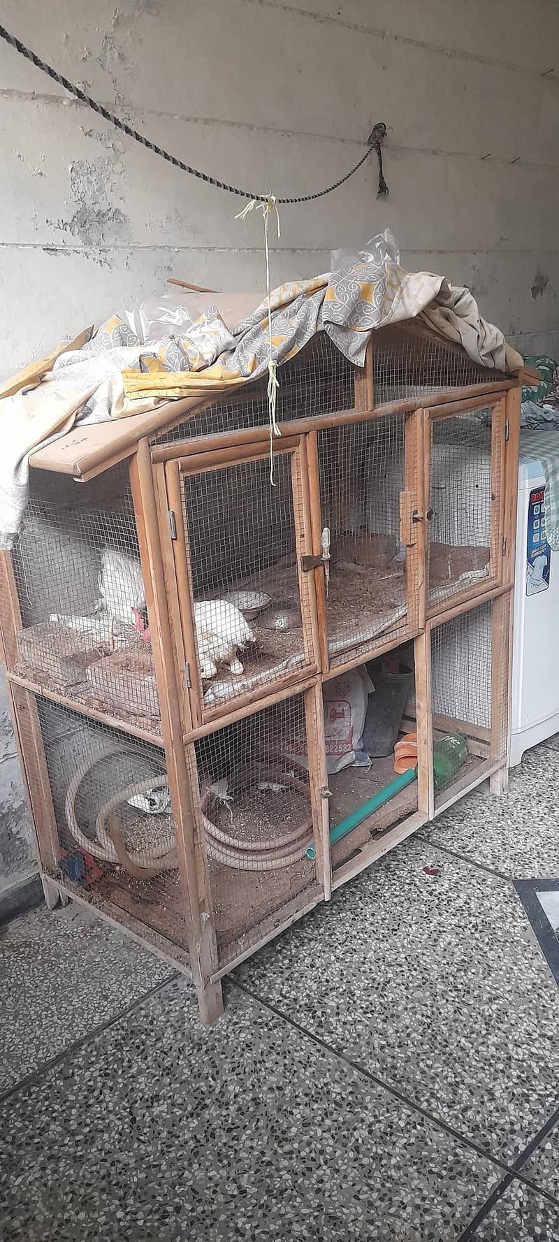 hens cage 1