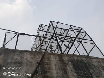 kabootar jall for sale