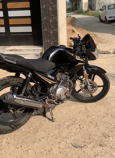 Modified YBR For Sale