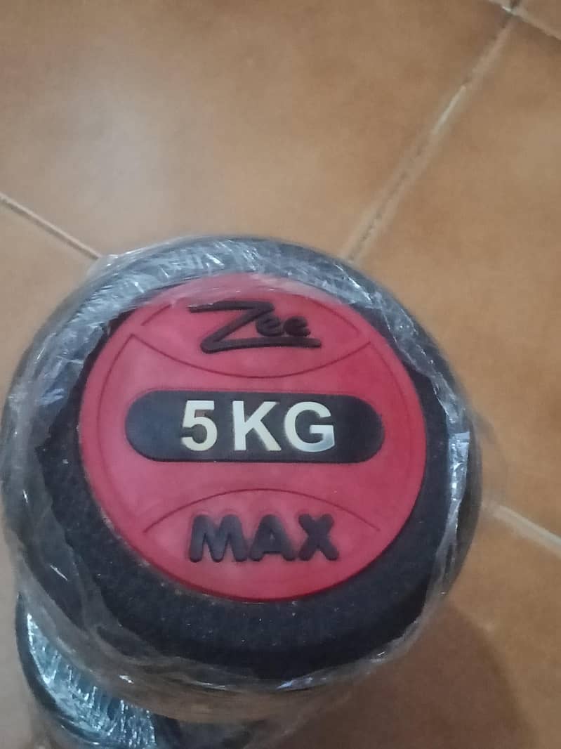 Dumbbell 1