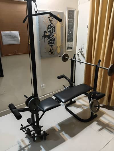 Multifunction Bench With Pulley/Lat pull Down And leg extensions