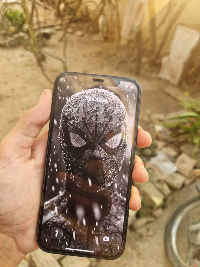 Apple iPhone 12 0