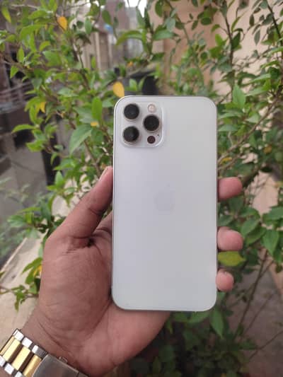 Apple iPhone 12 Pro Max