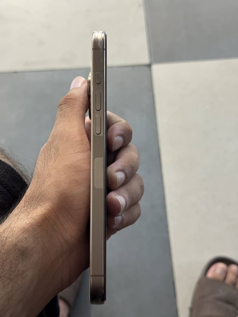 Apple iPhone 16 Pro Max 1