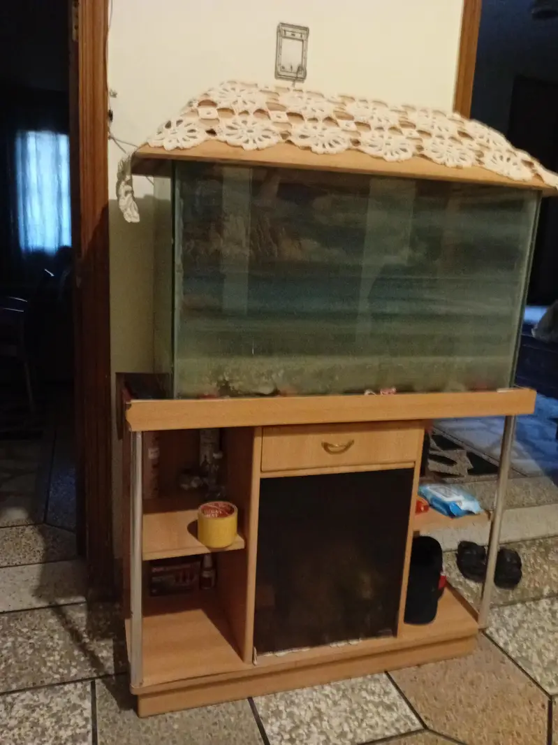 aquarium — photo 2