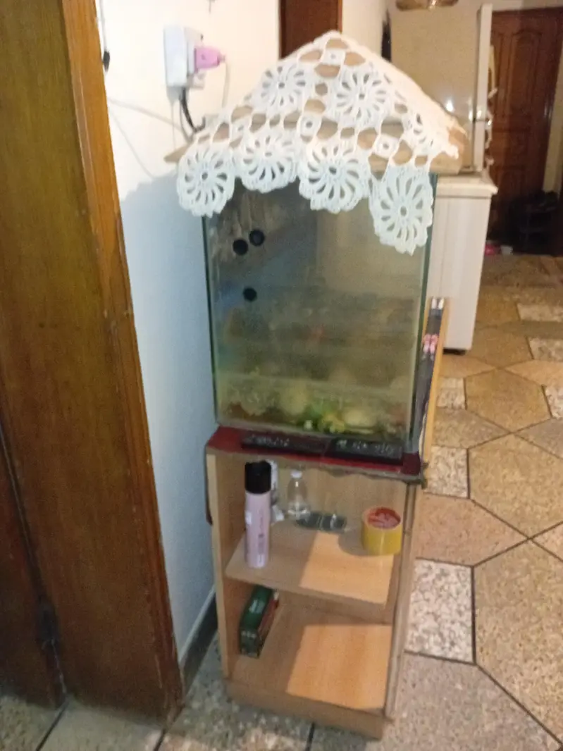 aquarium — photo 3