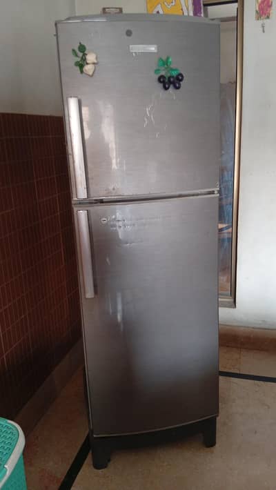 fridge freezer