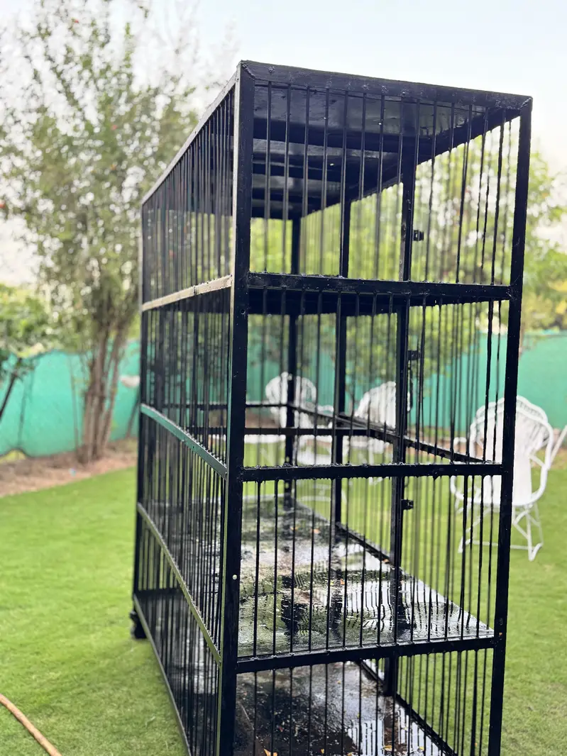 Custom Large metal cage for birds/animals — photo 6