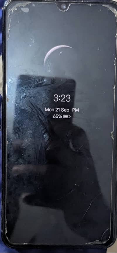 Vivo Y51 dual sim Display fingerprint