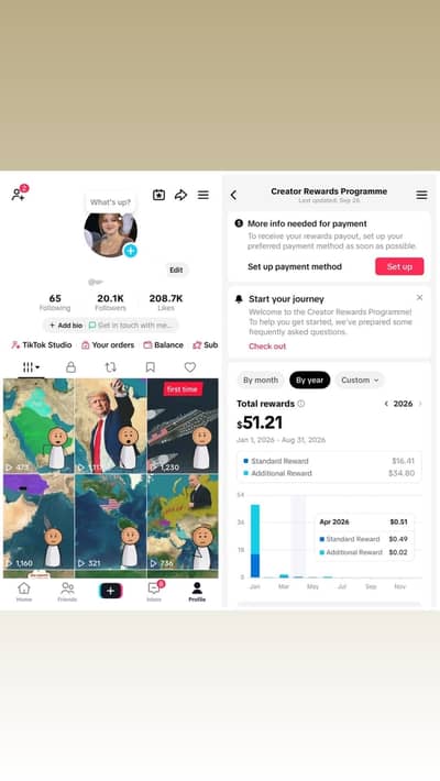 Monetized and earning started Tik tok accounts/ instagram account
