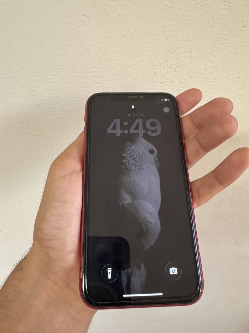 Apple iPhone 11 4