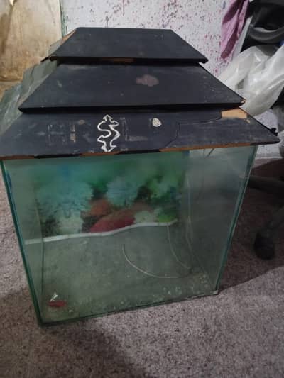 all ok aquarium urgent sale