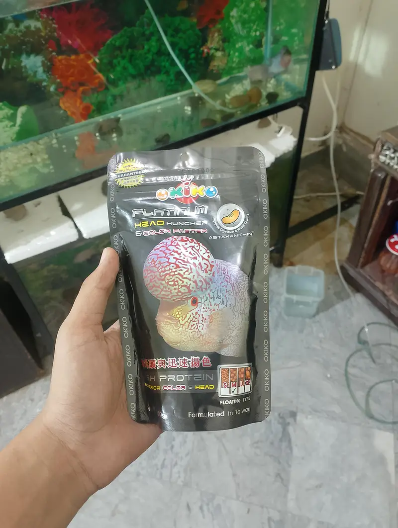 Flower Horn available Contact: 03706172264 — photo 7