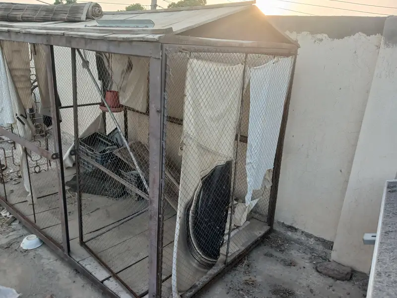 Cage for sell — photo 2