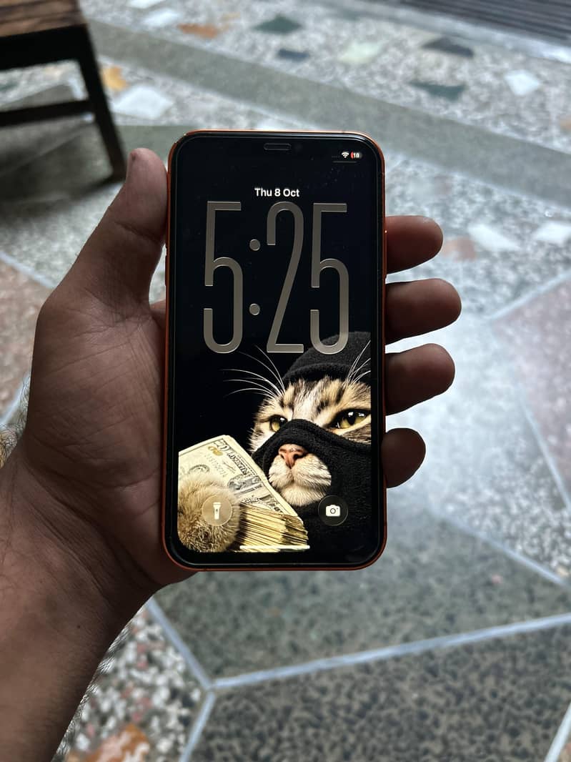 Apple iPhone 11 0