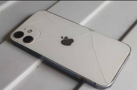 Apple iPhone 12 mini lush camera