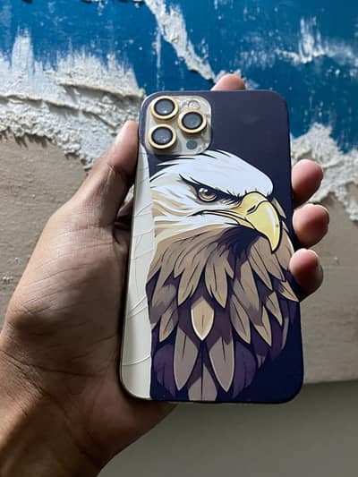 iPhone 12 Pro Max fu