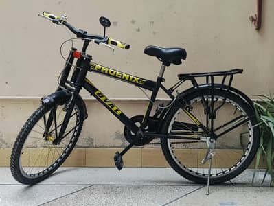 Bicycle Phoenix Oval