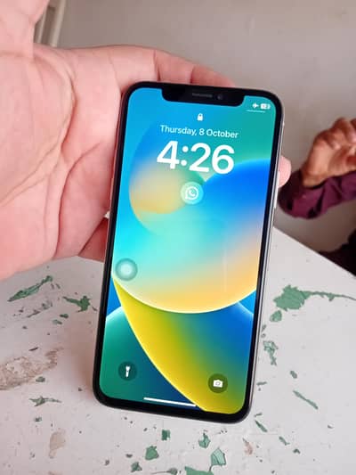 Apple iPhone X