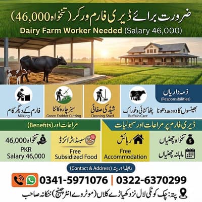 Dairy farm worker