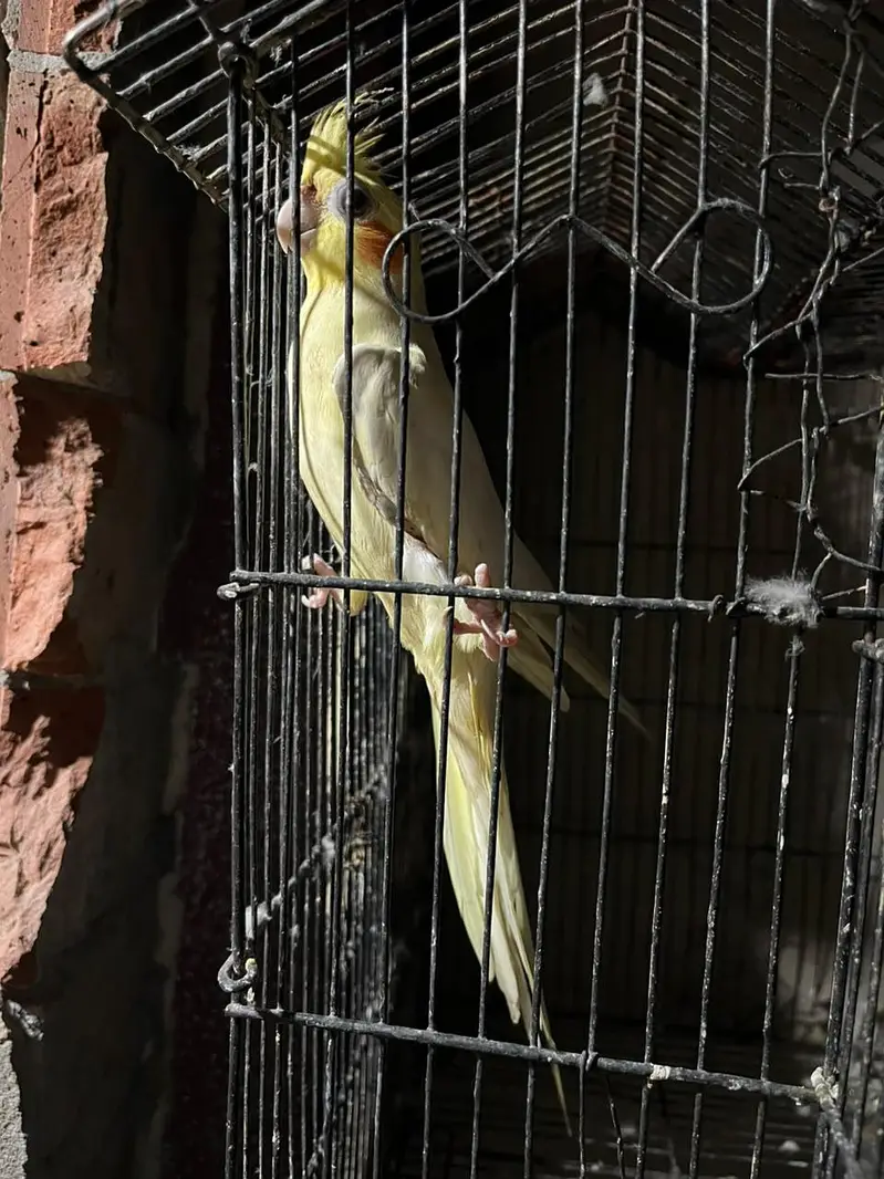 cocktail female and — photo 2