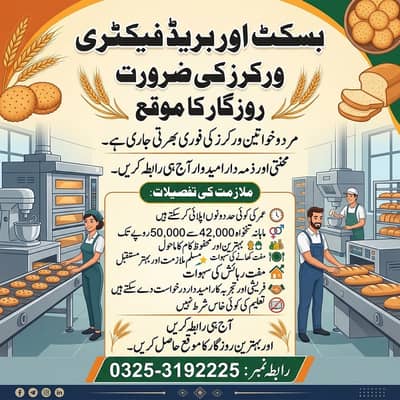 Biscuit & Bread Factory Workers | Male & Female Factory jobs in Lahore