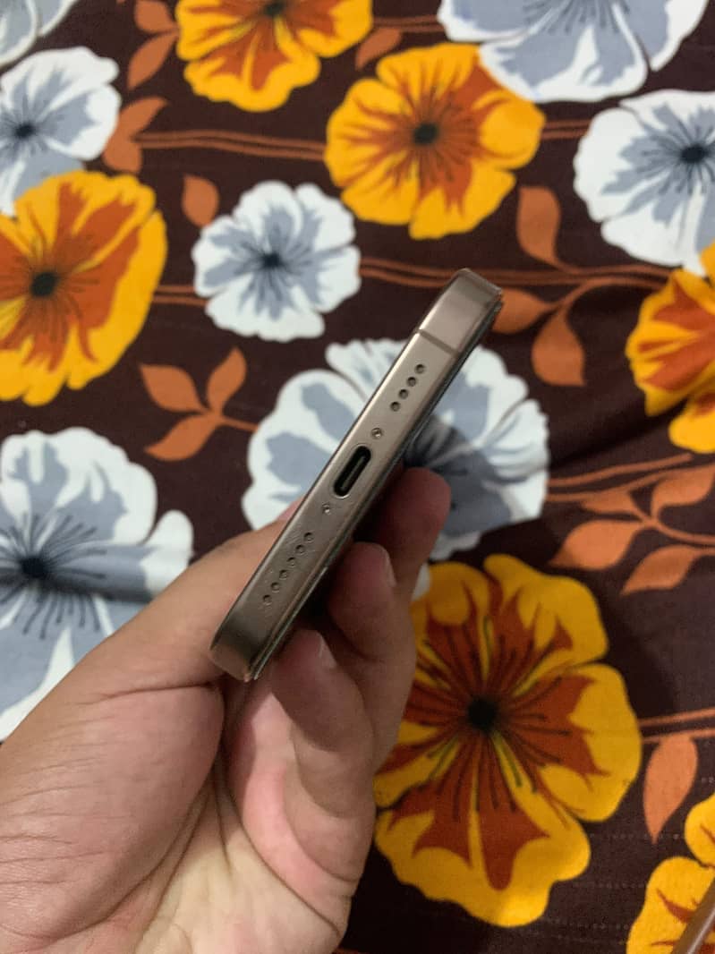 Apple iPhone 16 Pro Max 2