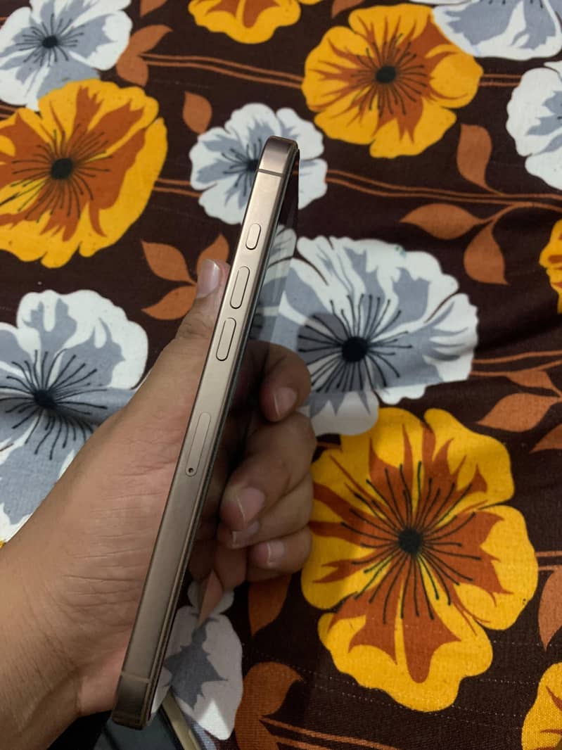 Apple iPhone 16 Pro Max 3
