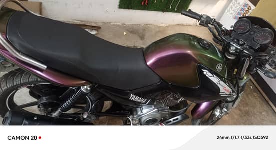 only serious buyer contact us