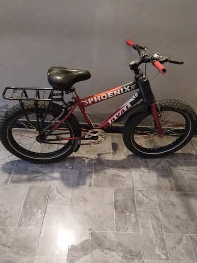 Phoenix bicycle 21000