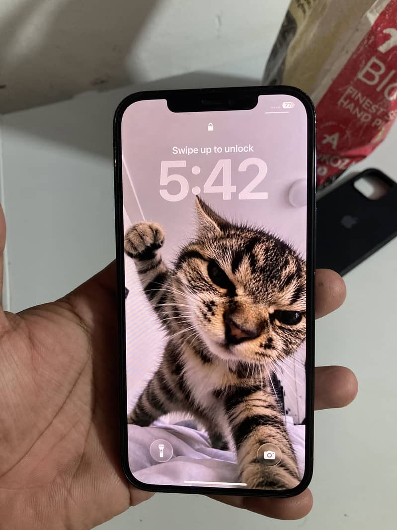 Apple iPhone 12 Pro Max 0