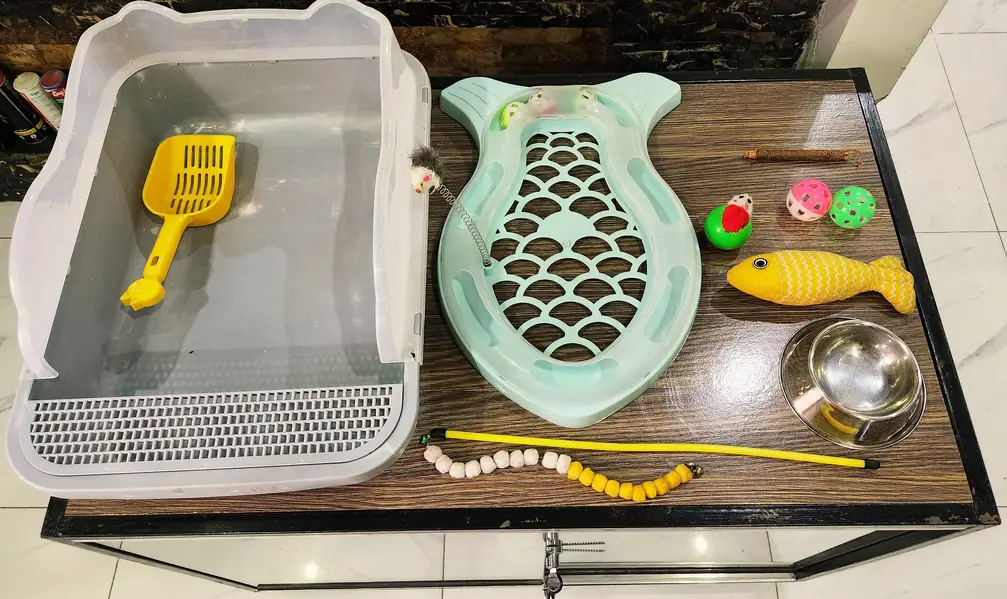 Cat House (Pet House)  FREE ACCESSORIES — photo 5