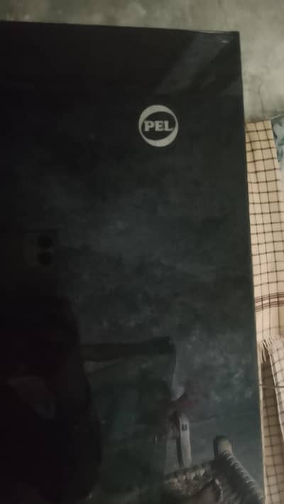 PEL.        medium size
