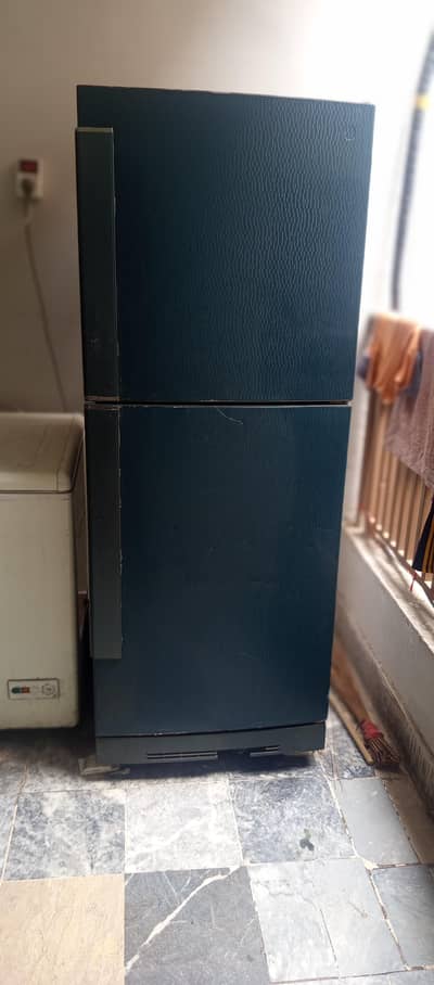 PEL Full Size Double Door Refrigerator (Textured Body Design