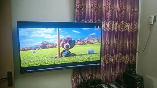 Eco star led simple for sale 50 inch